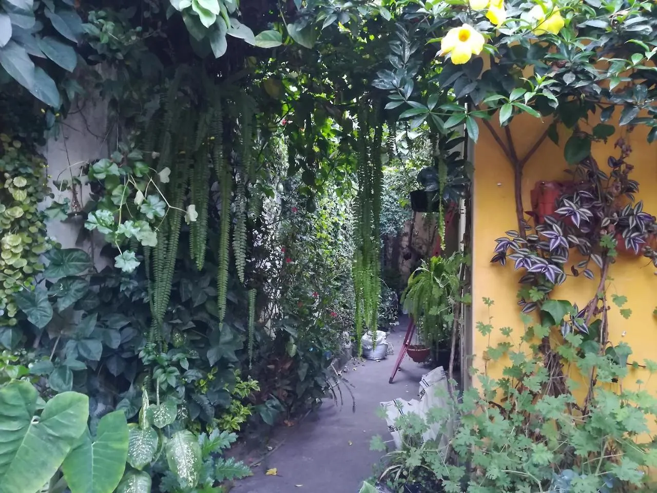 Casa Moka Bed & Breakfast Antigua